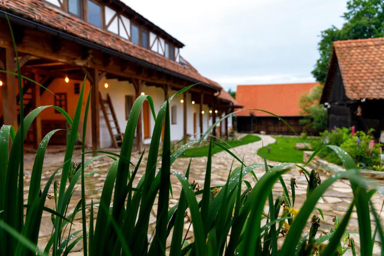 Hotel Viscri 44 Zewnętrze zdjęcie