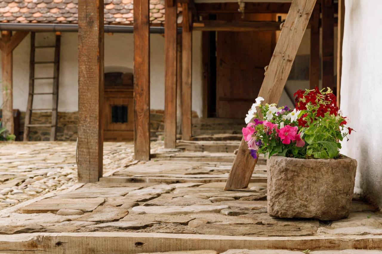 Hotel Viscri 44 Zewnętrze zdjęcie
