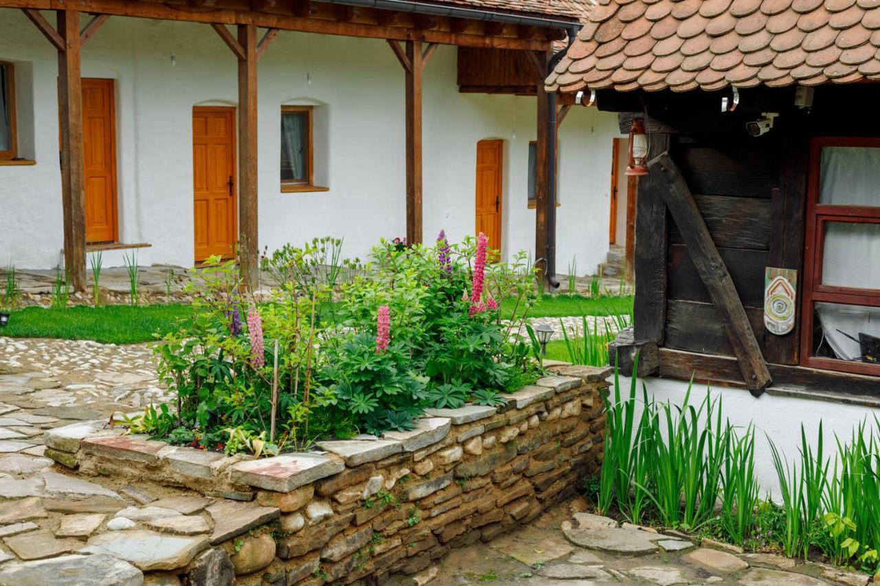 Hotel Viscri 44 Zewnętrze zdjęcie