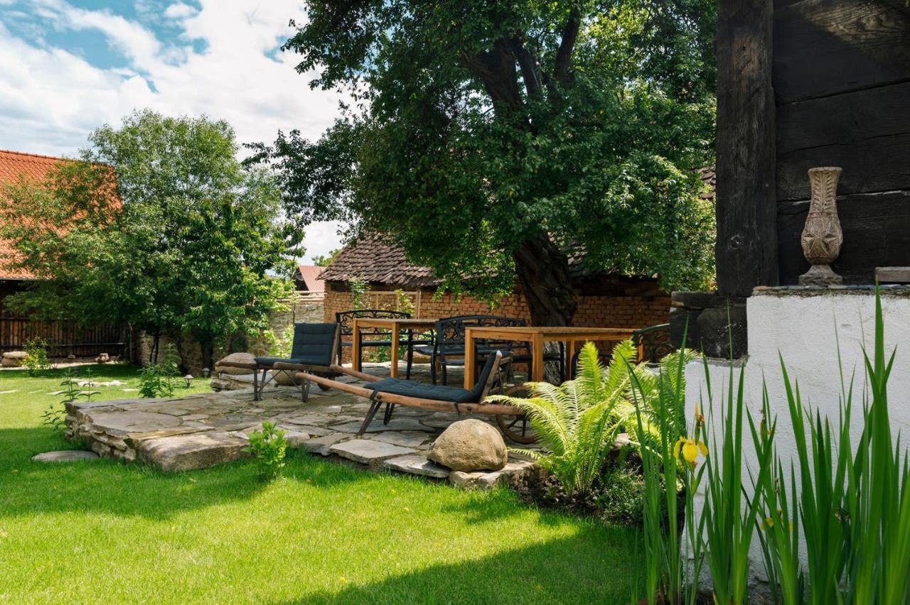 Hotel Viscri 44 Zewnętrze zdjęcie