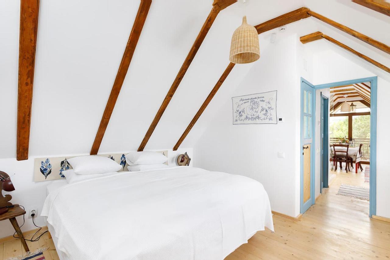 Hotel Viscri 44 Zewnętrze zdjęcie