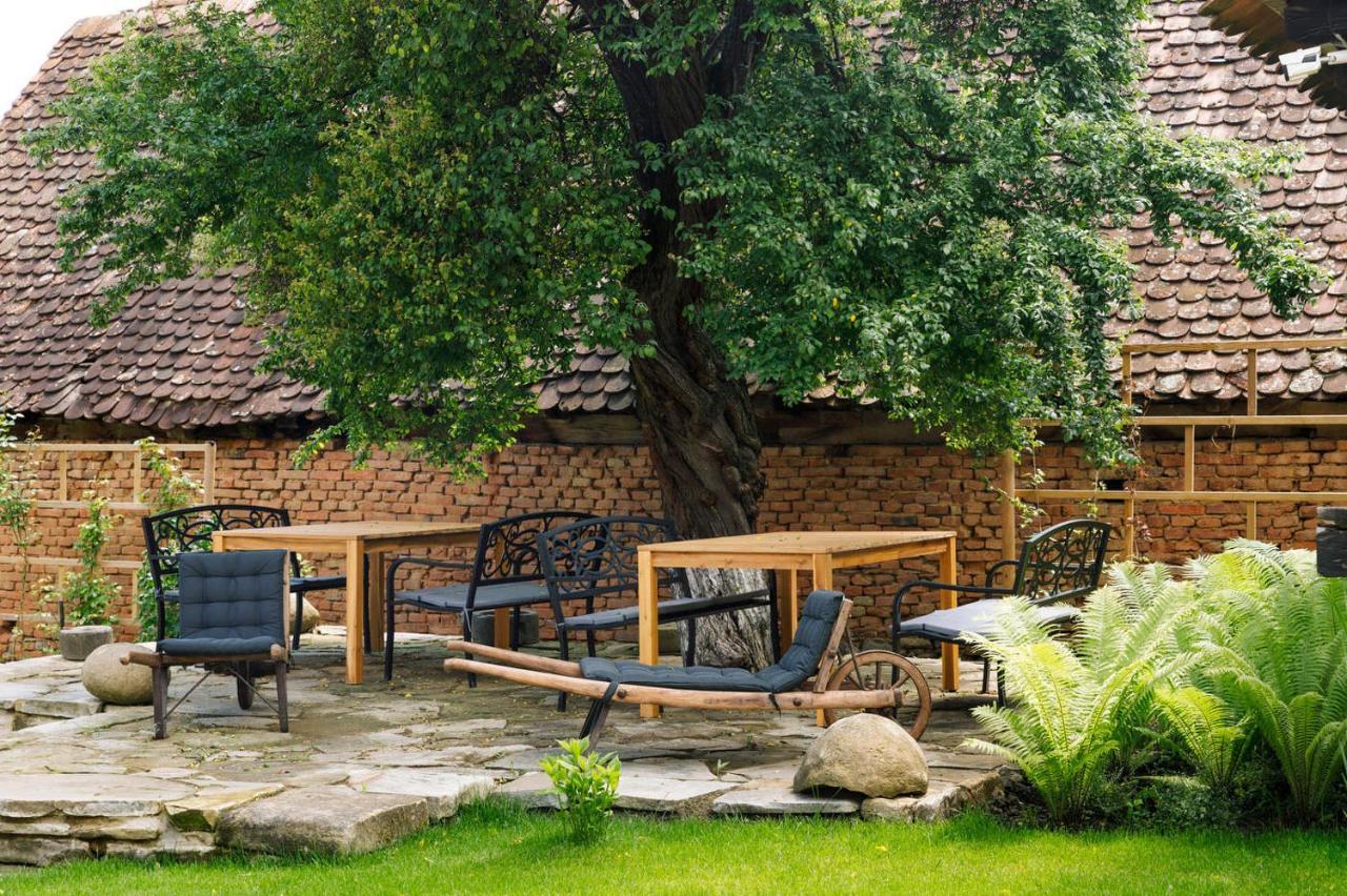 Hotel Viscri 44 Zewnętrze zdjęcie