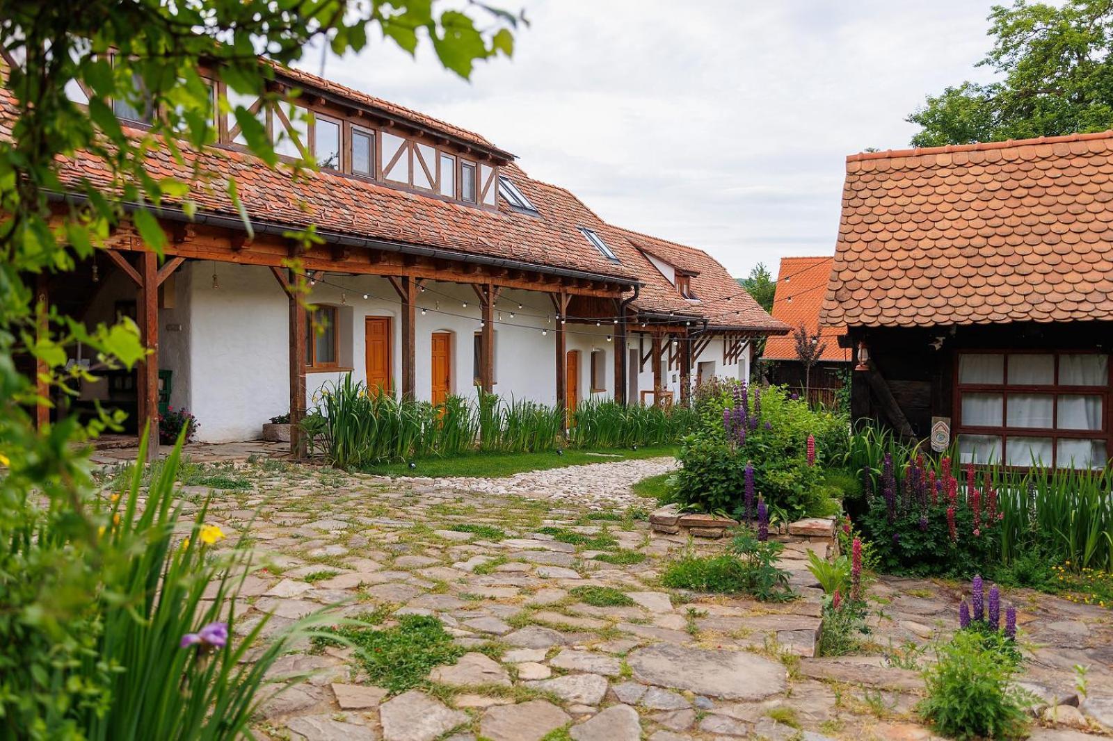Hotel Viscri 44 Zewnętrze zdjęcie