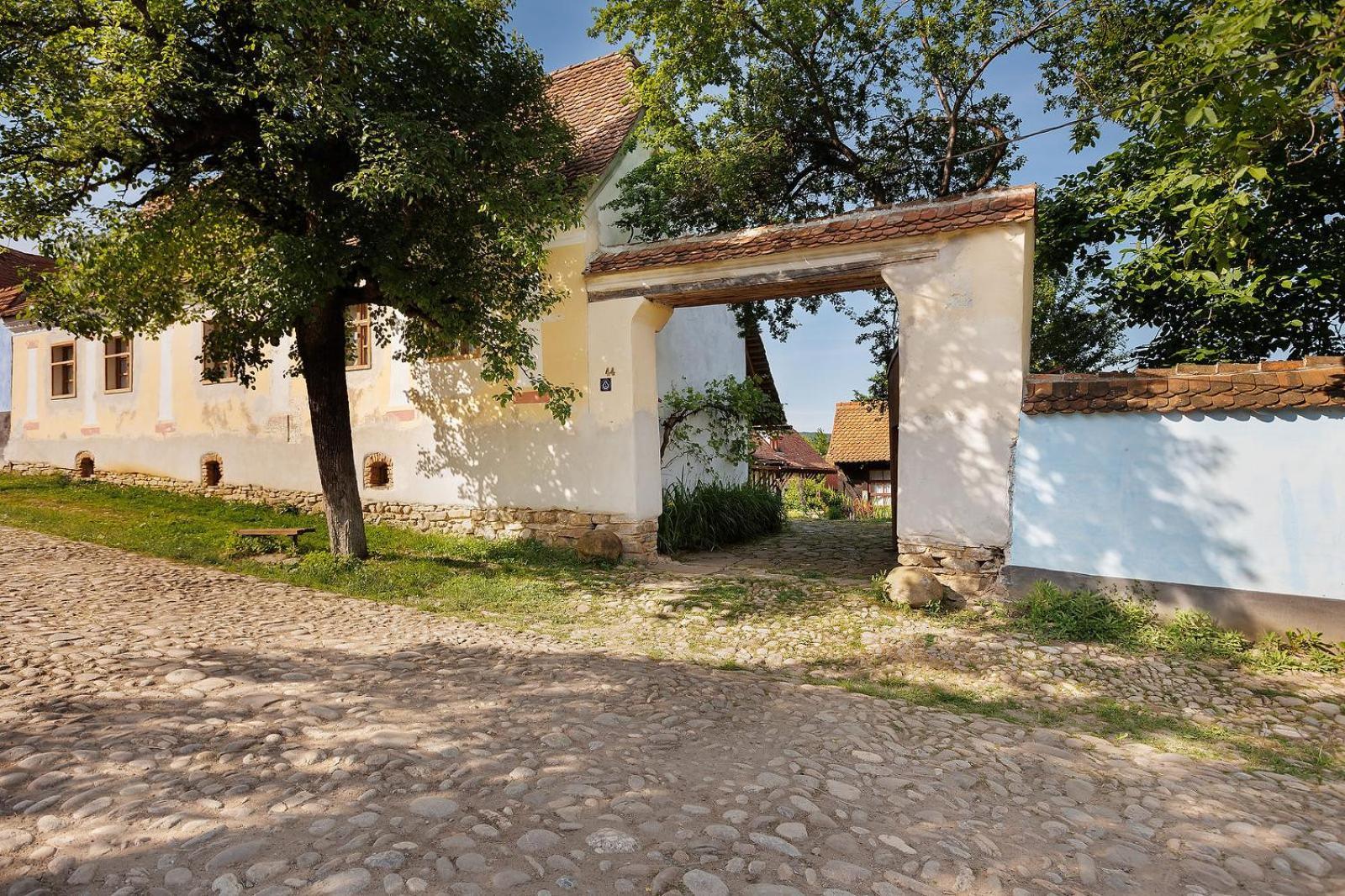 Hotel Viscri 44 Zewnętrze zdjęcie